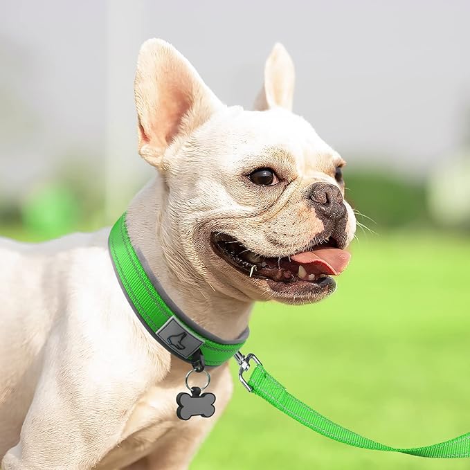 Joytale Dog Collar for Small Dogs, Neoprene Padded and Adjustable, Reflective Wide Heavy Duty Pet Collars with Durable Metal Belt Buckle for Walking, Green, S