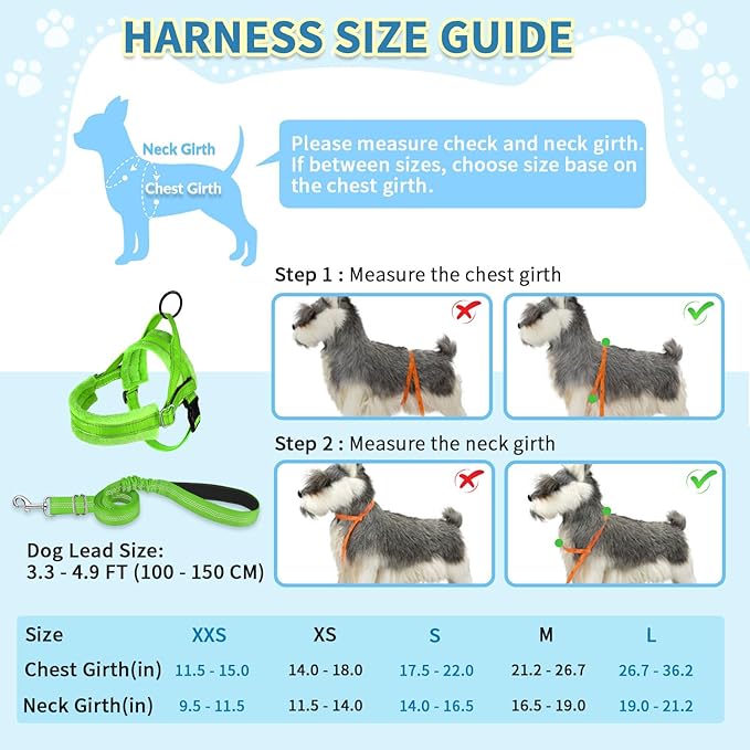 SlowTon No Pull Small Dog Harness and Leash Set, Puppy Soft Vest Harness Neck & Chest Adjustable, Reflective Lightweight & Anti-Twist Pet Lead Combo for Small Medium Dogs(G,S)