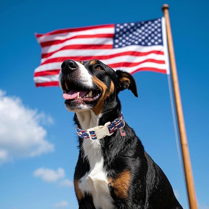 Unique style paws Dog Collar Plastic Buckle with Pendant Newspaper Star Flag Puppy Collars for Small Medium Large Boys Girls Dogs