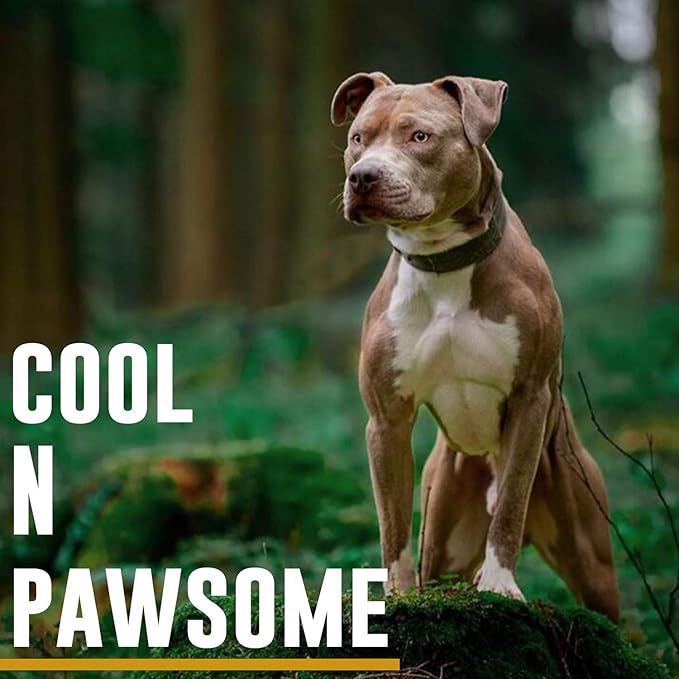 OneTigris Military Adjustable Dog Collar with Metal D Ring & Buckle 2 Sizes (Coyote Brown, L)