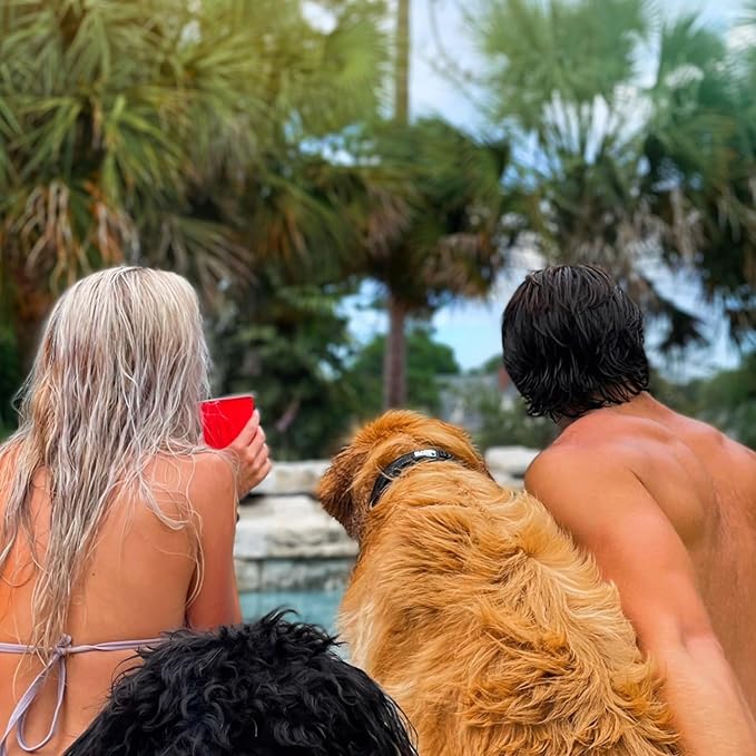 Black Rhino Extra Large Dog Collar - Adjustable Reflective Heavy Duty Dog Collars with Ultra-Soft Neoprene Padding - Weatherproof, Durable, and Comfortable - Ideal for Active Dogs - Black