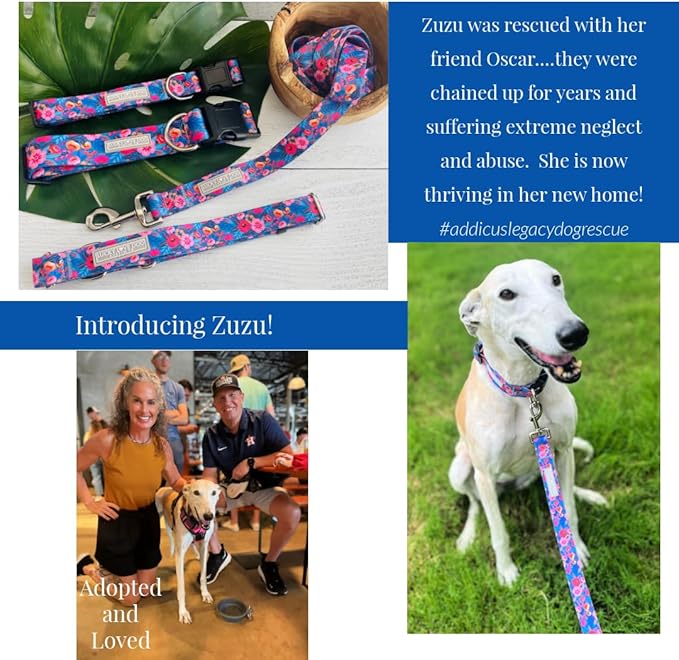 Lucky Love Dog Combo Set, Big Dog Collar & Leash Set for Large Dogs, Colorful Matching Collar and Leash Set for Girl or Boy Dogs, Stripes, Zuzu Combo, Large