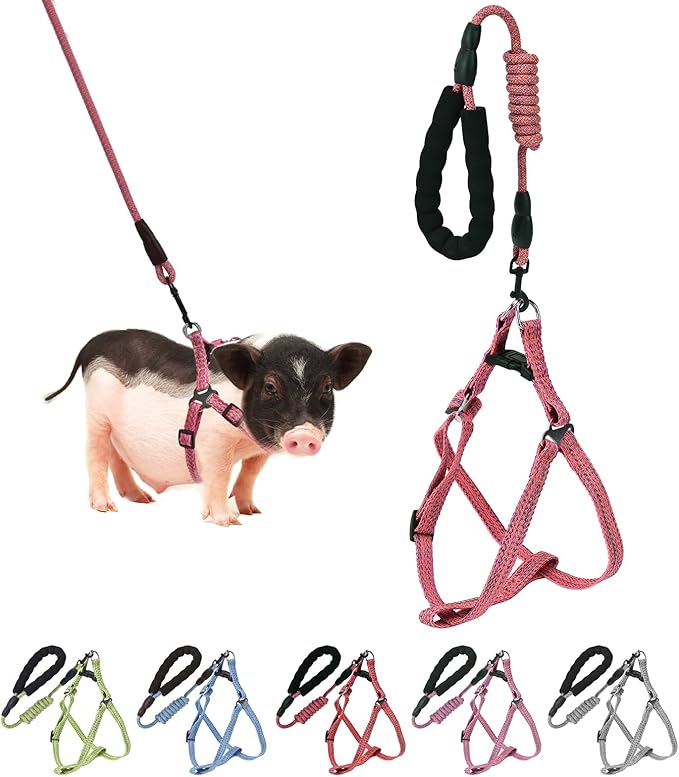 Mini Pig Harness, Adjustable Small Pig Harness with Leash Infinity Style Lead and Soft Foam Handle for Small to Medium Pet Pigs Walking Training Jogging (Red, XL)