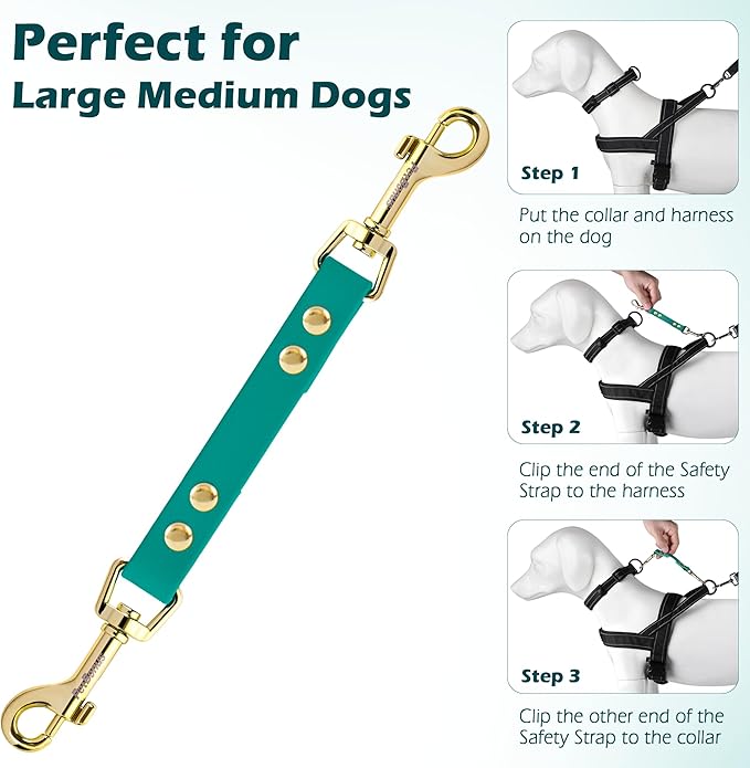 PetBonus Dog Collar Safety Clip, Waterproof Backup Safety Strap for Dog Harness to Prong Collar, Odor Proof Double Ended Clasp Leash Connector for Training Walking (Green)