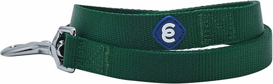 Blueberry Pet Essentials Durable Classic Dog Leash | Basic Nylon Dog Leash | 5ft. x 3/4" Medium Dog Leash | Verdant Green Dog Leash | Standard Dog Leashes & Lightweight Dog Leash for Training