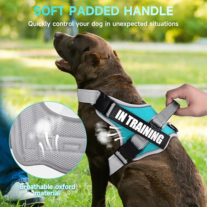 Dog Vest Harness and Leash Set, Animire Reflective Service Dog Vest in Training Dog Harness with 10 Patches, 3 Rings Emotional Support Therapy Dog Harness for Small Medium Large Dogs(Teal,M)