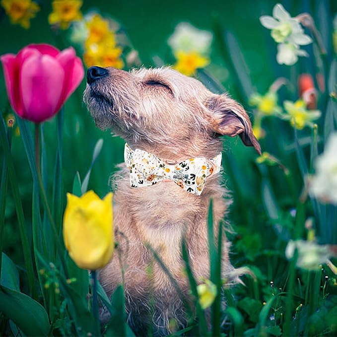 Elegant little tail Dog Collar, Floral Print Pet Collar with Bow Girl Cotton Bowtie Collars Spring Dog Collars Gift Adjustable Pet Collar for X-Large Dogs
