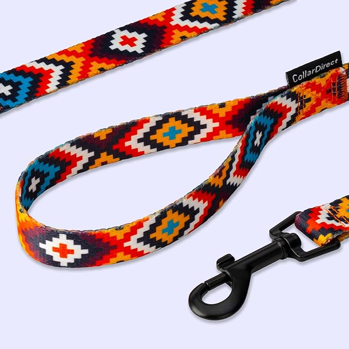 CollarDirect Aztec Dog Leash Nylon Tribal Pattern Cat Pet Leashes for Small Medium Large Dogs Puppy Lead 5 FT Long for Walking (Pattern 3, L, New)