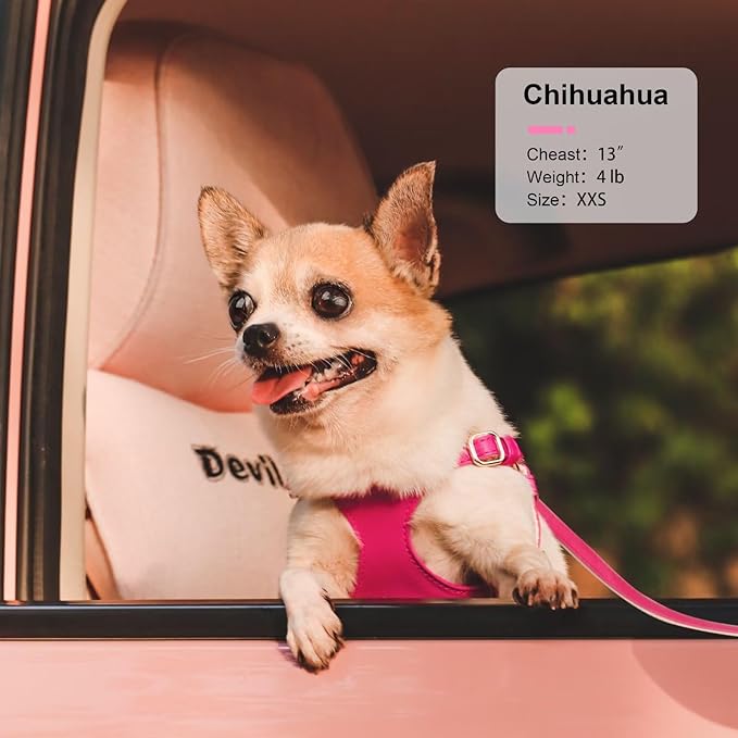 Didog Small Dog Harness and Leash Set, Soft & Lightweight Dog Vest Harness, Adjustable Leather Dog Harness for Small Dogs, Hot Pink, XS