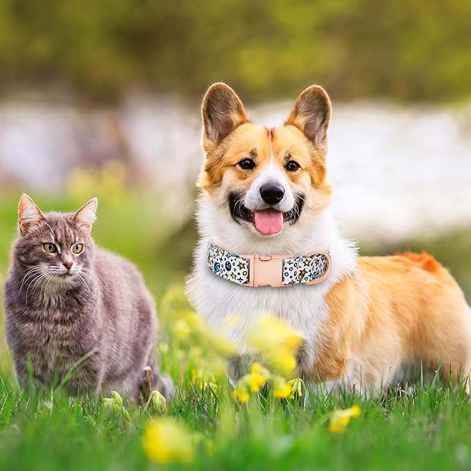 Dog Collar and Leash Set Girls Adjustable Puppy Collars with Floral Bow Tie for Small Medium Large Female Dogs, Solar System, L