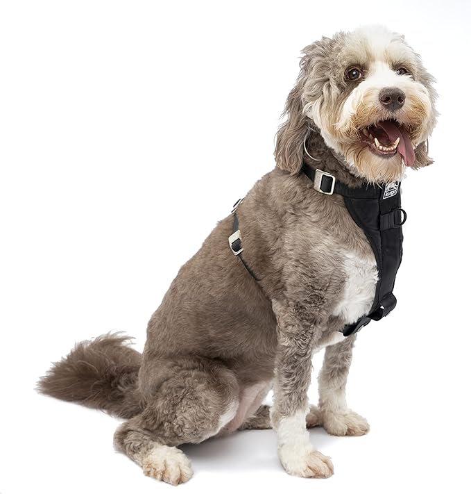 Kurgo Tru-Fit Enhanced Strength Dog Harness - Certified Crash Tested Car Safety Harness for Dogs - Metal Buckles, Padded Chest - Includes Pet Seatbelt - No Pull Training - Black, XL