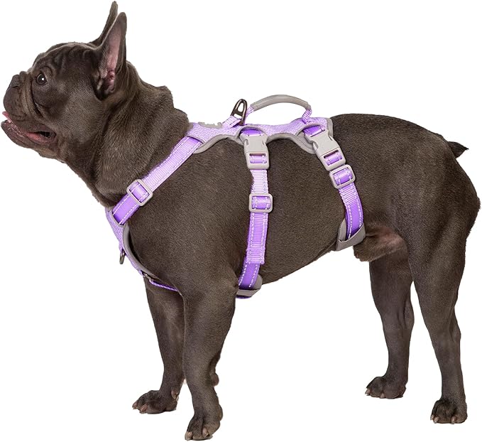 Escape Proof Dog Harness, Secure Dog Harness No Escape,Fully Reflective Harness with Handle,Breathable,Durable,Adjustable Vest for Small Dogs Walking,Training & Running Gear(Lavender Purple,S)
