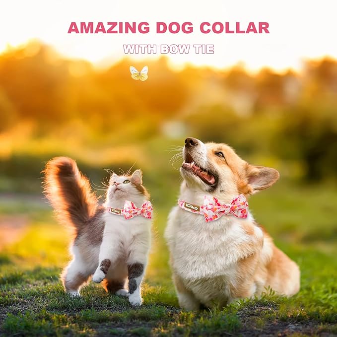 Tunkoo Super Cute Dog Collar with Bow Tie Pink Flamingo Heart - Durable, Adjustable, and Stylish Pet Collar Available in Small Medium Large M
