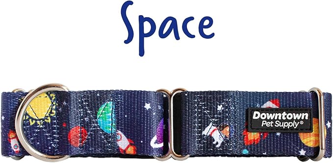Downtown Pet Supply - Martingale Collar for Dogs - Dog Training Collar - Big, Wide & Thick Dog Collar - Escape-Proof, Weatherproof, Durable and Comfortable - Space - Medium Dog Collar