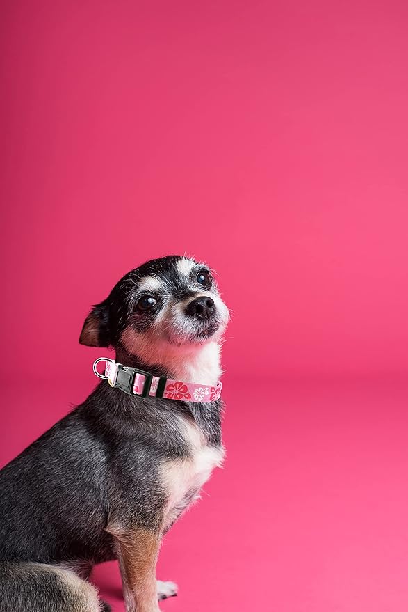 Dog Collar, Cute Floral Pattern, Soft and Adjustable Collar with Quick Release Buckle (XS (Neck 9-13", Width 3/8"), Hawaiian Pink)