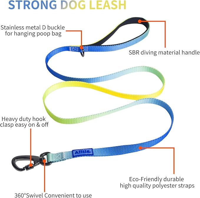 AIITLE No Pull Dog Harness & Leash & Collar - Adjustable Basic Collar with A Heavy Duty Leash - Super Sturdy Buckle and D Ring - Training Running for Large Dogs, Blue Gradient L