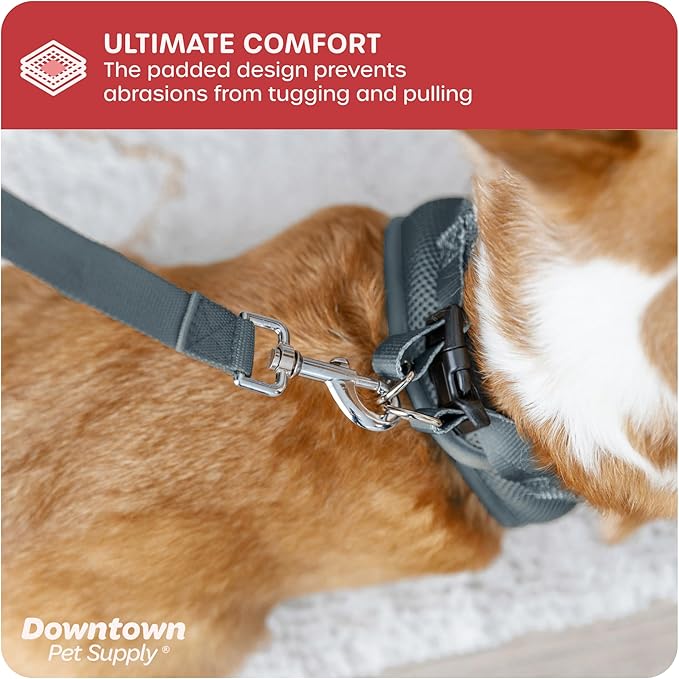Downtown Pet Supply Step in Dog Harness for Small Dogs No Pull, Medium, Titanium - Adjustable Harness with Padded Mesh Fabric and Reflective Trim - Buckle Strap Harness for Dogs