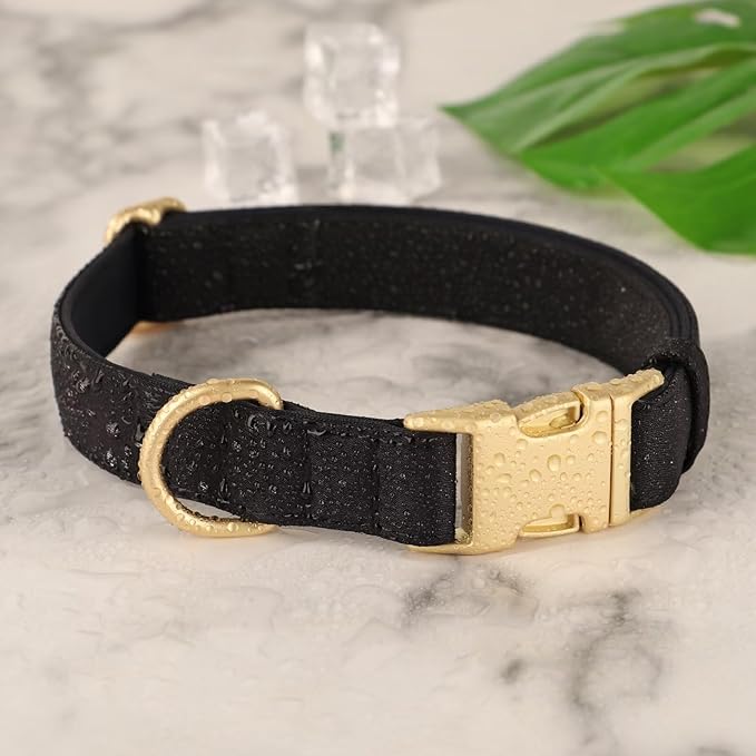 Didog Soft Padded Dog Collars for Medium Dogs, Waterproof and Durable Pet Collar with Quick Release Buckle, Light and Breathable for Daily Walking,Black,M(Neck:13-20")