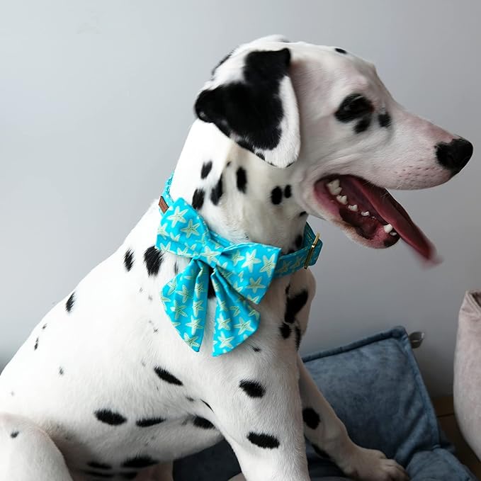 Lionet Paws Summer Dog Collar with Sailor Bow, Soft Comfortable Adjustable Cute Starfish Collar for Dogs, Medium, Neck 13.5-22 inches