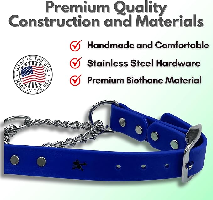 Martingale Collar for Dogs, Biothane, Stainless Steel Hardware, No Pull, Made in The USA, Professional Grade, XXS, Blue