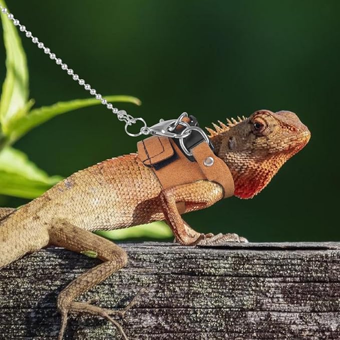 Reptiles Harness Leash, 3PCS Adjustable Bearded Dragon Harness with 5.4Ft Leash for Gecko, Bearded Dragon, Iguana, Hamster, Guinea Pig