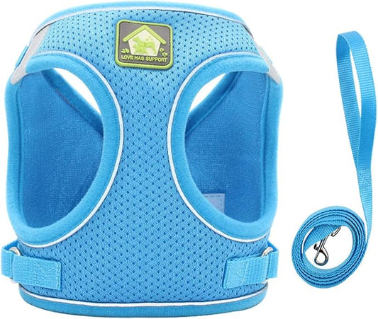 leconpet Step in Dog Harness, Vest Harness and Leash Set for Small Medium Dogs, Puppy Harness, Mesh Reflective Dog Harness Vest (Blue, XS)
