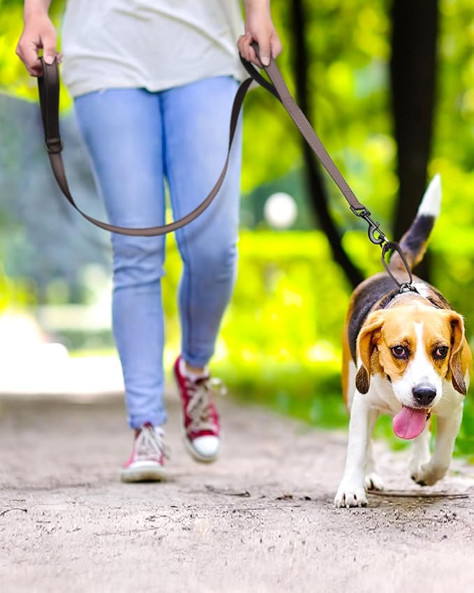 FunTags Reflective Martingale Collar for Dogs, Quick Release Buckle, 5FT Double Handle Dog Leash Padded, Dog Collar and Leash Set, Adjustable for Puppy Dogs (Brown, XS)