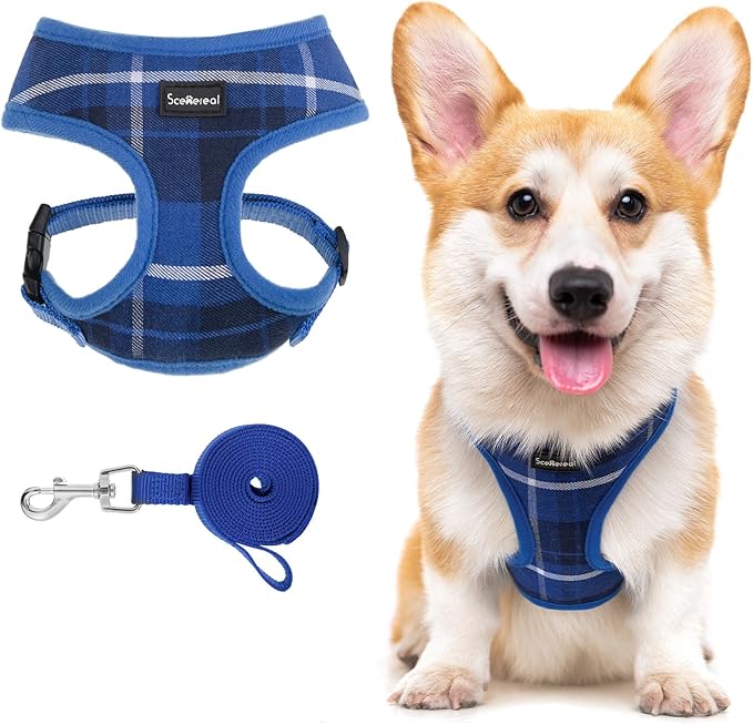 SCENEREAL Puppy Dog Harness with Leash Set for Small Medium Sized Dogs, Soft Mesh Step in Pet Harnesses and Leash, No Chock Plaid Adjustible No Pull Vest for Dogs Cats, Chihuahua,Bulldog (Blue M)