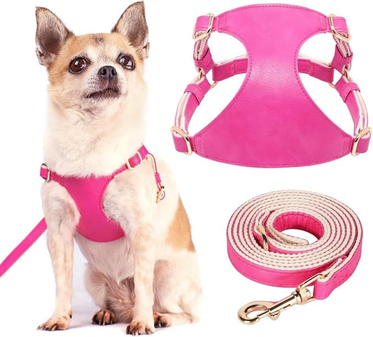 Didog Small Dog Harness and Leash Set, Soft & Lightweight Dog Vest Harness, Adjustable Leather Dog Harness for Small Dogs, Hot Pink, XS