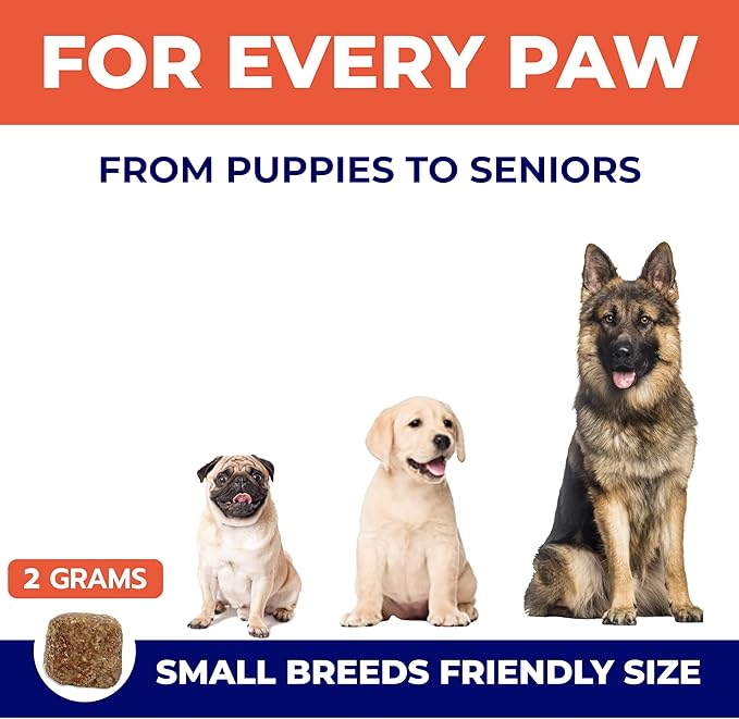 Omega 3 Fish Oil for Dogs (360Ct) - Skin&Coat Chews - Dry & Itchy Skin Relief + Allergy Support - Shiny Coat - EPA&DHA Fatty Acids - Salmon Oil Chews Promotes Heart, Hip & Joint Support