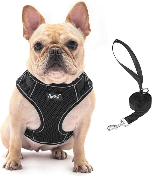 PUPTECK Dog Harness and Leash Set for Small Medium Dogs No Pull, Soft Mesh Adjustable Puppy Cat Harness Reflective at Night, Black M