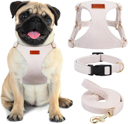No Pull Dog Harness- Lightweight, Soft, Adjustable Small Harness Collar and Leash Set, Suitable for Cats Puppy Small and Medium-Sized Dog Outdoor Training and Running (Beige, M)