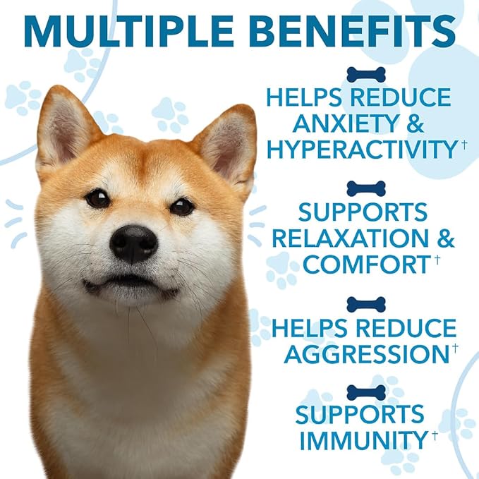 Hemp Calming Chews for Dogs with Anxiety and Stress - Anxiety Relief Chews for Storms, Fireworks, Thunder, Barking, Separation - Valerian, L-Tryptophan, Hemp Oil - Chicken - 120 Dog Calming Treats