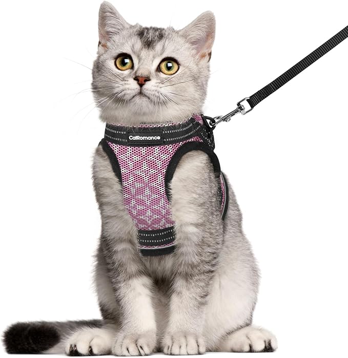 Cat Harness and Leash Escape Proof for Walking, Safe Adjustable Large Kitten Vest Set with Reflective Strip for Kitty, Easy Control Comfortable Soft Outdoor Pet Harnesses, Pink, Large