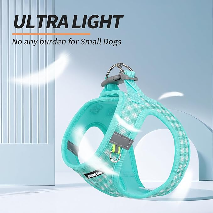 AIITLE Easy Walk Dog Vest Harness and Leash Set, Pet Supply No Pull, Breathable Mesh, Reflective Stripes, Adjustable Escape Proof Pet Outdoor Harnesses for Medium Dogs Turquoise L