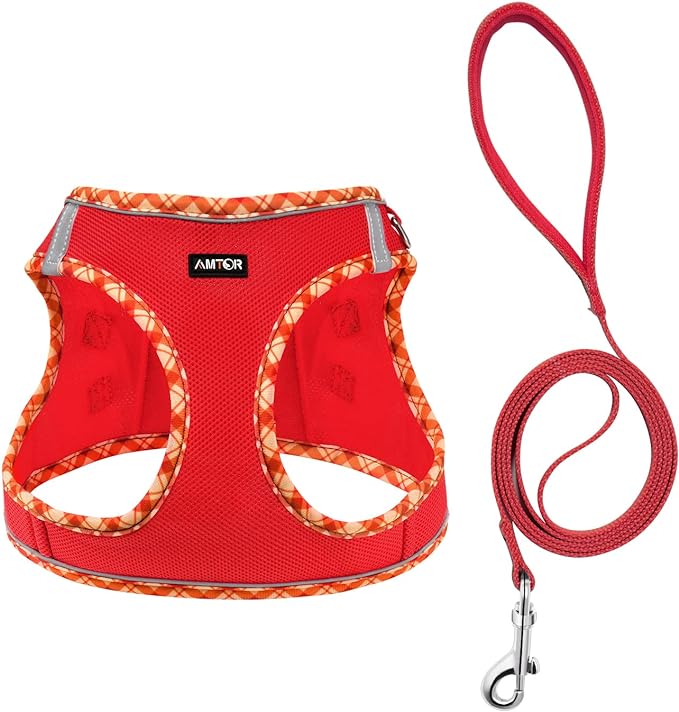 AMTOR Small Dog Harness with Leash Set, No Escape Easy Walk Puppy Harnesses for Training Walking, Step-in Reflective Soft Dogs Vest for XS S Medium Extra-Small Large Sized Dog(Red)