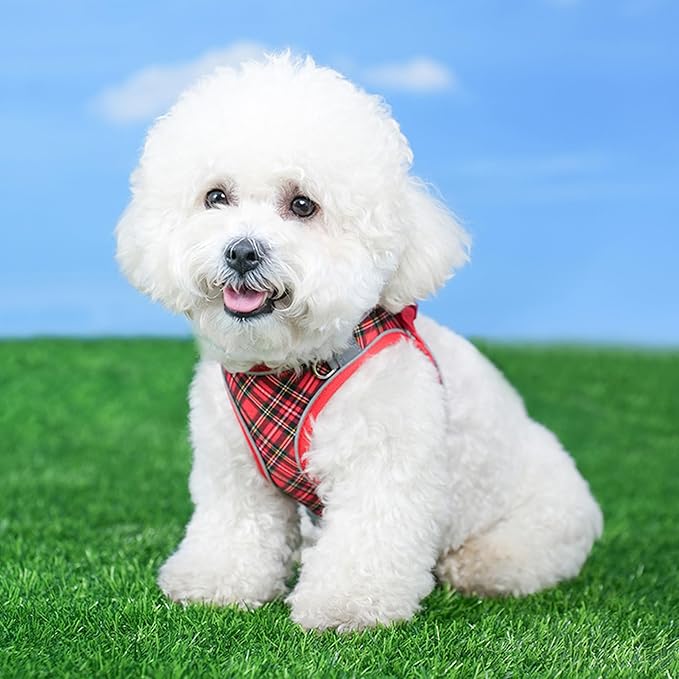 No Pull Dog Harness and Leash Set for Extra-Small Dogs Puppy Cats Ajustable Classic Plaid Dog Vest Harness Soft Mesh Reflective Step-in Harness Escape Proof for Walking Red XS