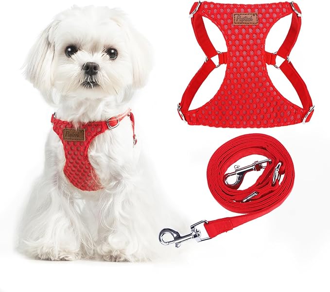 PUPTECK Dog Harness and Leash Set Small Sized, Step-in Cute Puppy Harness, Soft Lightweight Padded Vest, Escape Proof No Pull Pet Harnesses Easy for Walking, Red, XS
