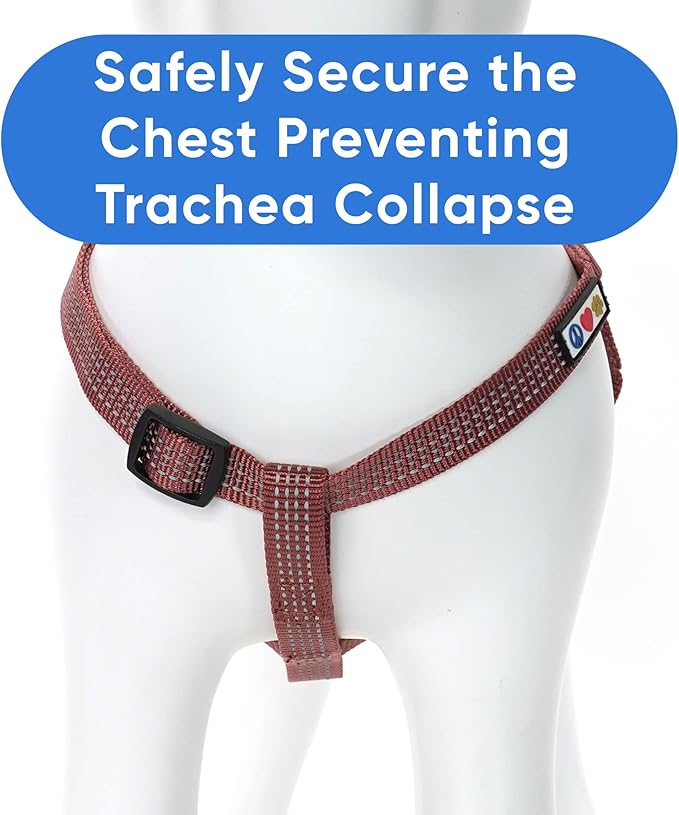 Pawtitas Dog Harness - Small Size, Marsala Brown, Step-in, Adjustable, Reflective Vest for Senior Dogs and Puppies