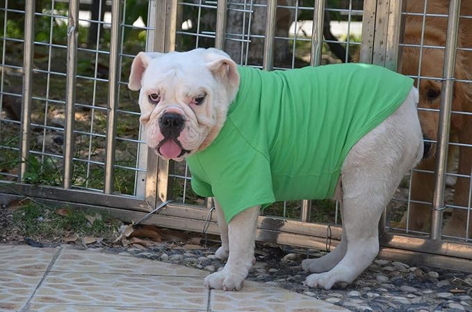 Lovelonglong Bulldog Clothes Dog Clothing Blank T-Shirt Tee Shirts for French Bulldog English Bulldog American Pit Bull Pugs 100% Cotton Skin Care Green B-M