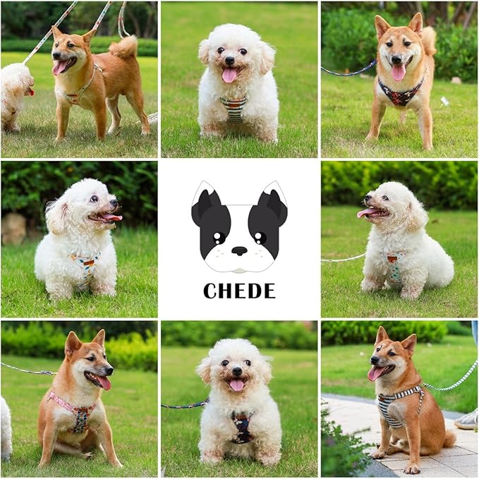 CHEDE No Pull Floral Pattern Dog Harness- Lightweight and Soft Dog Harness, Adjustable Small Dog Harness and Leash Set, with Dog Leash, Suitable for Puppy Small and Medium-Sized Dog