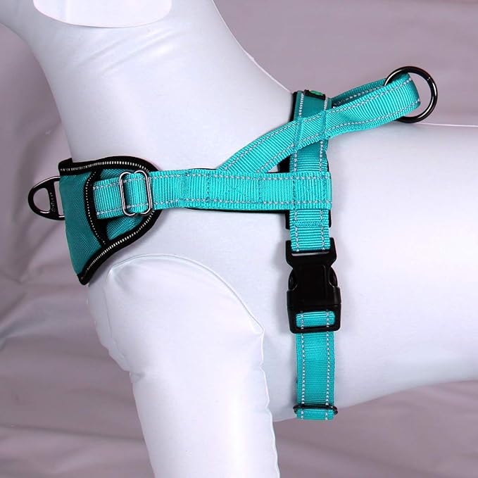 Max and Neo Passport Reflective Dog Harness - We Donate a Harness to a Dog Rescue for Every Harness Sold (Medium (19"-24.5" Chest Girth), Teal)