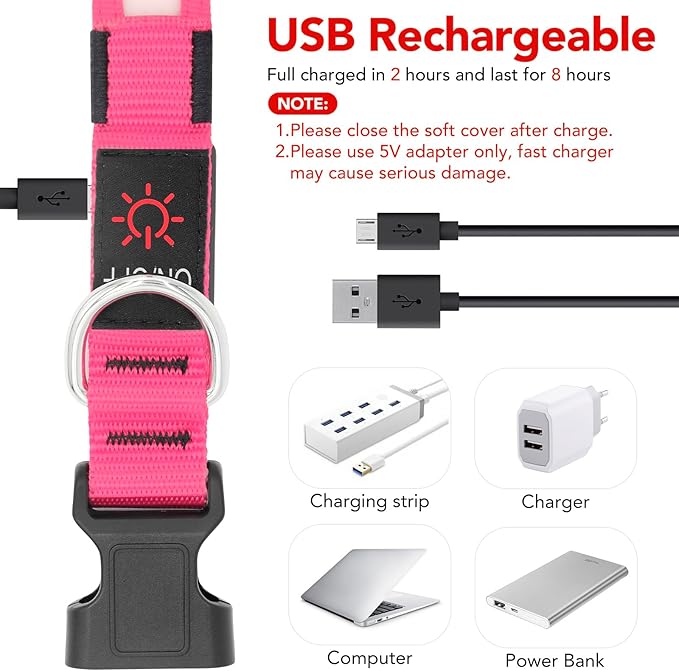Vizpet LED Dog Collar, Light Up Dog Collar Adjustable USB Rechargeable Super Bright Safety Light Glowing Collars for Dogs (Small, Pink)