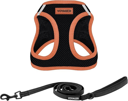 Voyager Step-in Air All Weather Mesh Harness and Reflective Dog 5 ft Leash Combo with Neoprene Handle, for Small, Medium and Large Breed Puppies by Best Pet Supplies - Black, X-Small