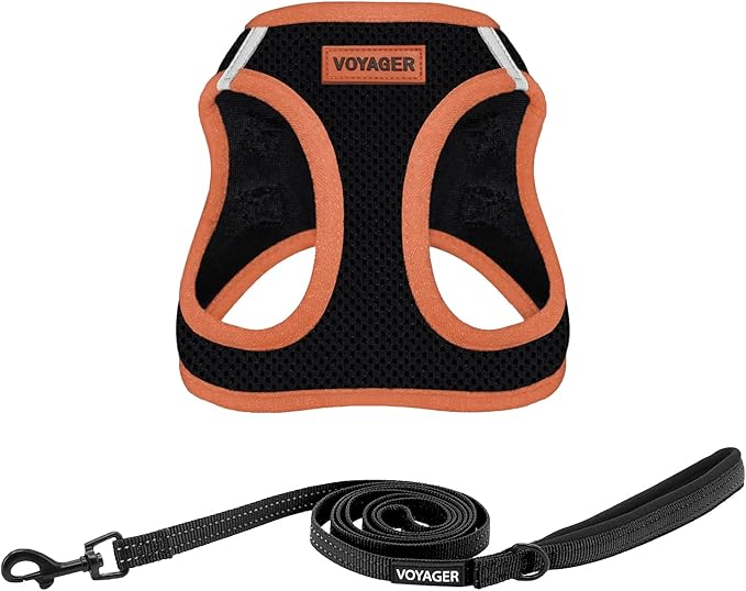 Voyager Step-in Air All Weather Mesh Harness and Reflective Dog 5 ft Leash Combo with Neoprene Handle, for Small, Medium and Large Breed Puppies by Best Pet Supplies - Black, X-Large