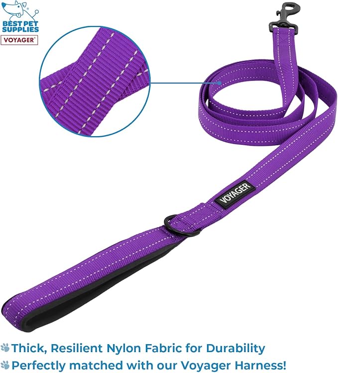Voyager Step-in Air All Weather Mesh Harness and Reflective Dog 5 ft Leash Combo with Neoprene Handle, for Small, Medium and Large Breed Puppies and Cats by Best Pet Supplies - Purple, XXXS