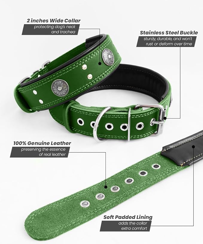 Leather Dog Collar, 2 inches Wide Heavy Duty Genuine Leather Collars, Handmade, Soft, and Luxury, Eye-catching Best Choice for Large and Medium Breed Dogs, Green 22.5-26.5 inches