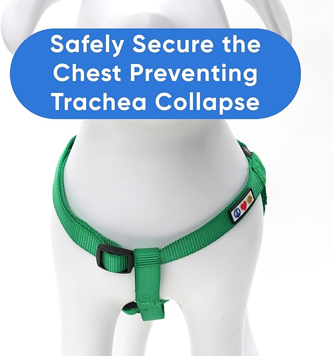 Pawtitas Solid Color Step in Dog Harness or Vest Harness Dog Training Walking of Your Puppy Harness Extra Small Dog Harness Lush Green Dog Harness