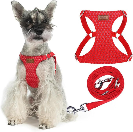 PUPTECK Dog Harness and Leash Set Small Sized, Step-in Cute Puppy Harness, Soft Lightweight Padded Vest, Escape Proof No Pull Pet Harnesses Easy for Walking, Red, S