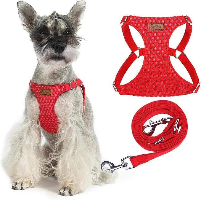 PUPTECK Dog Harness and Leash Set Small Sized, Step-in Cute Puppy Harness, Soft Lightweight Padded Vest, Escape Proof No Pull Pet Harnesses Easy for Walking, Red, M
